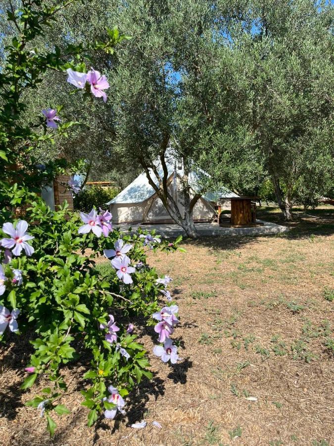 Eco Glamping With Pool Between Nafplio And آرغوس المظهر الخارجي الصورة