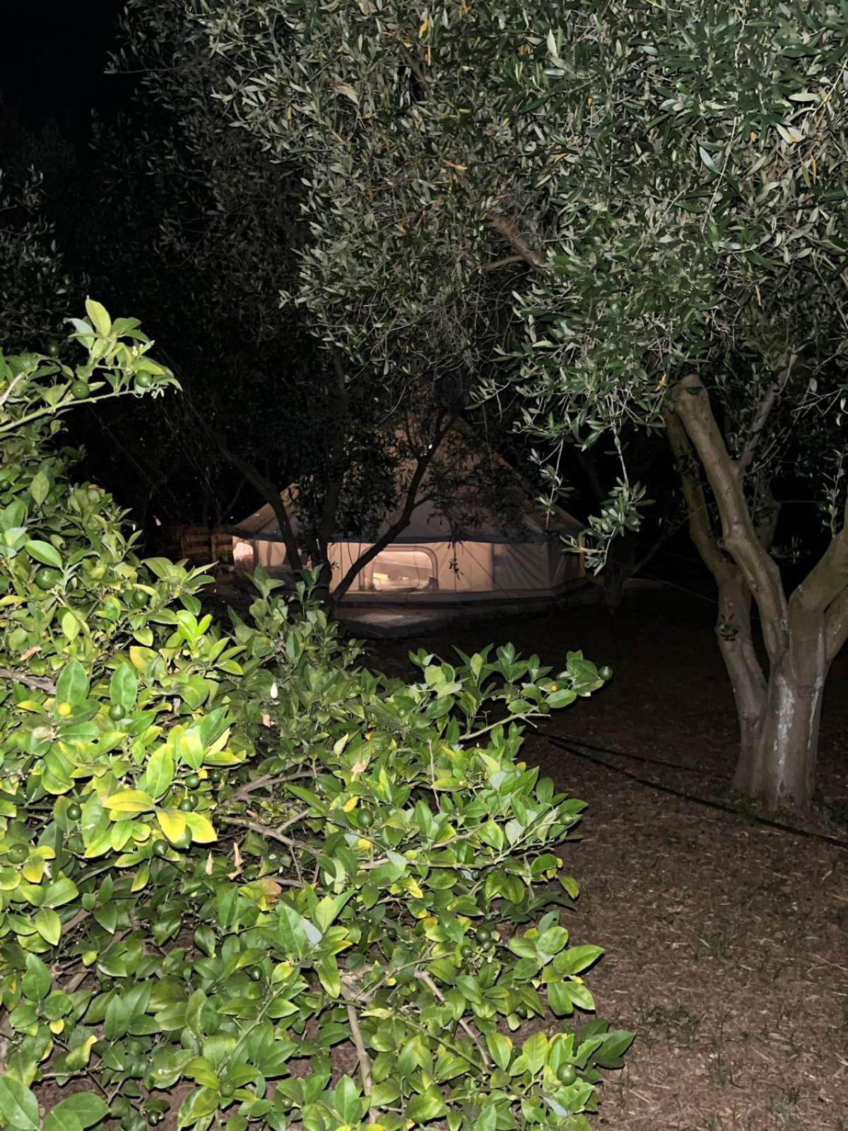 Eco Glamping With Pool Between Nafplio And آرغوس المظهر الخارجي الصورة